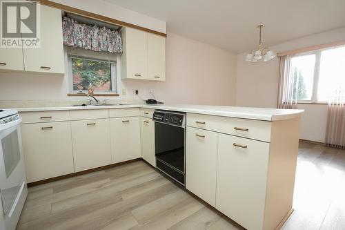 33 Lansdowne Ave, Sault Ste. Marie, ON - Indoor Photo Showing Kitchen With Double Sink