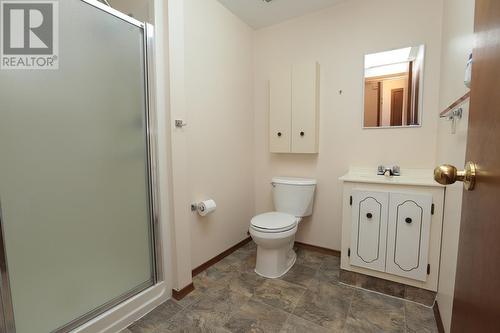 33 Lansdowne Ave, Sault Ste. Marie, ON - Indoor Photo Showing Bathroom