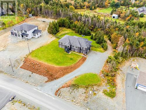 6 Prince George Drive, Portugal Cove St. Philip'S, NL - Outdoor With View