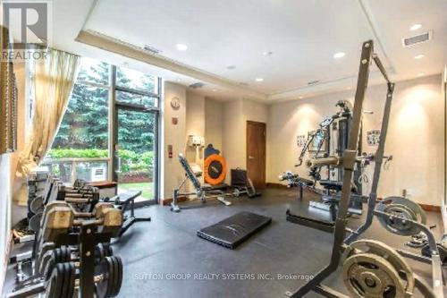 2011 - 35 Finch Avenue E, Toronto, ON - Indoor Photo Showing Gym Room