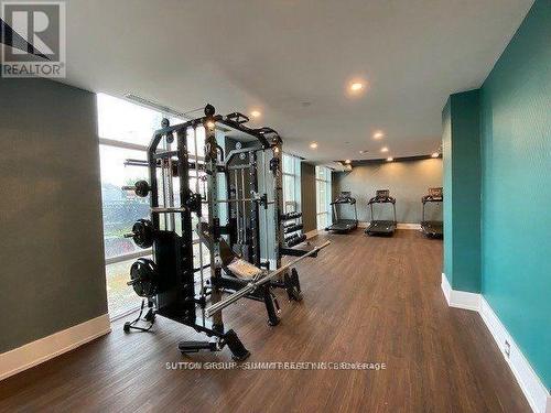 617 - 450 Dundas Street E, Hamilton, ON - Indoor Photo Showing Gym Room