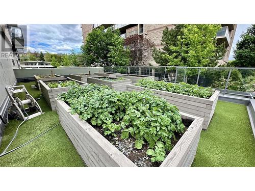 925 Leon Avenue Unit# 343, Kelowna, BC - Outdoor