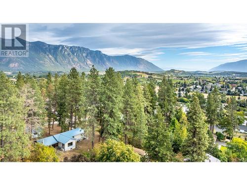 229 24Th  N Avenue, Creston, BC - Outdoor With View