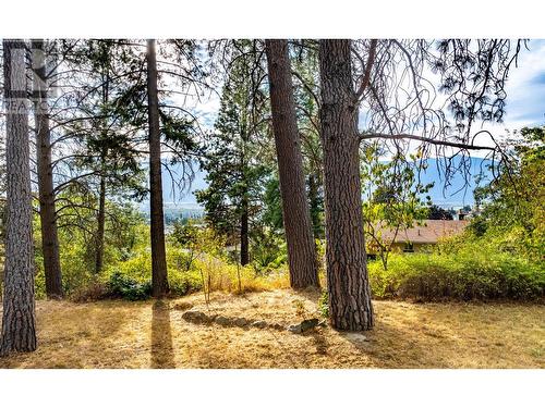 229 24Th  N Avenue, Creston, BC - Outdoor