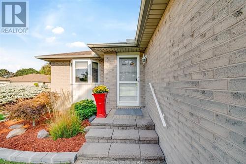 4596 Gapam Court, Windsor, ON - Outdoor