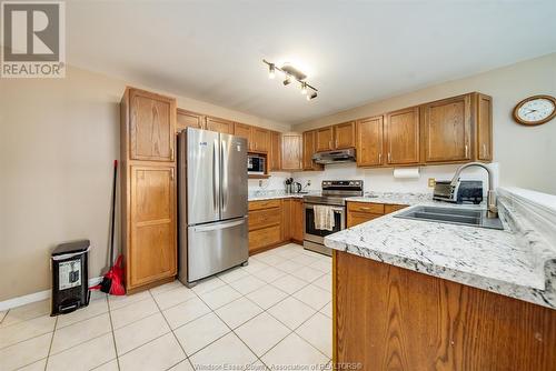 4596 Gapam Court, Windsor, ON - Indoor Photo Showing Kitchen With Double Sink