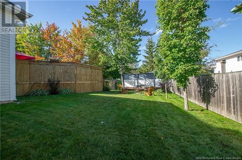 24 Alberta Court, Dieppe, NB - Outdoor With Backyard