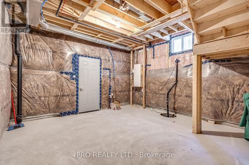 115 Muirfield Drive, Barrie, ON - Indoor Photo Showing Basement