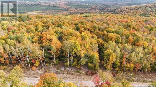 Lot 8 Raven Ridge Road, Central Hainesville, NB 