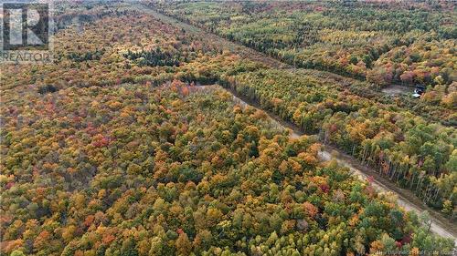 Lot 8 Raven Ridge Road, Central Hainesville, NB 