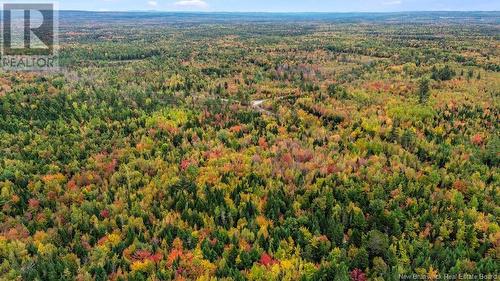 Lot Mast Road, Three Tree Creek, NB 