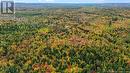 Lot Mast Road, Three Tree Creek, NB 