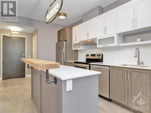 200 Inlet Private Unit#803, Ottawa, ON - Indoor Photo Showing Kitchen With Upgraded Kitchen