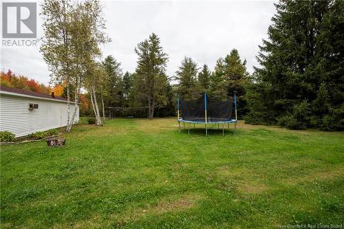 19 & 9 Perry Lane, Upper Coverdale, NB - Outdoor With Backyard