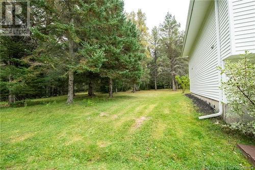 19 & 9 Perry Lane, Upper Coverdale, NB - Outdoor