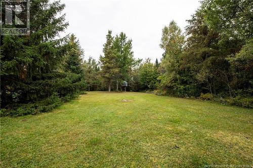 19 & 9 Perry Lane, Upper Coverdale, NB - Outdoor