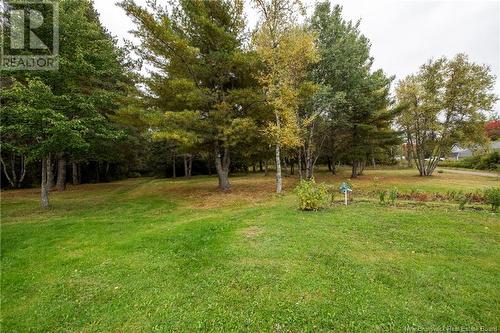 19 & 9 Perry Lane, Upper Coverdale, NB - Outdoor