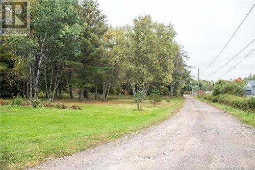 19 & 9 Perry Lane, Upper Coverdale, NB - Outdoor With View