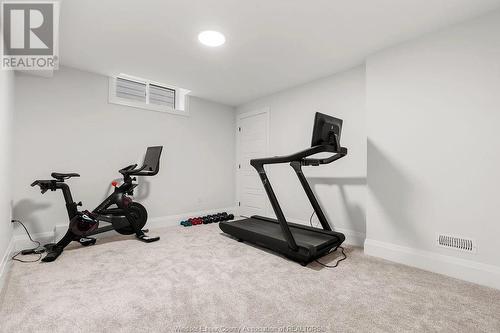 385 Caserta Crescent, Lakeshore, ON - Indoor Photo Showing Gym Room