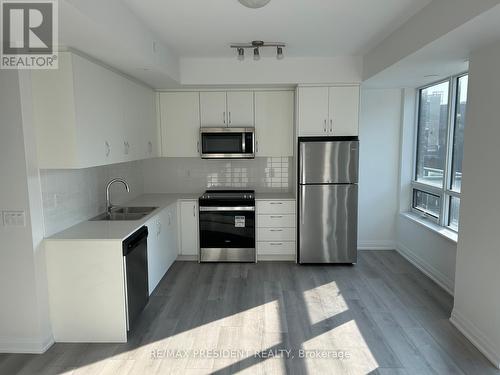 304 - 95 Attamar Drive, Brampton, ON - Indoor Photo Showing Kitchen With Double Sink With Upgraded Kitchen