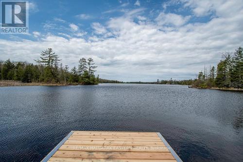 115 Hall Drive, Galway-Cavendish And Harvey, ON - Outdoor With Body Of Water With View