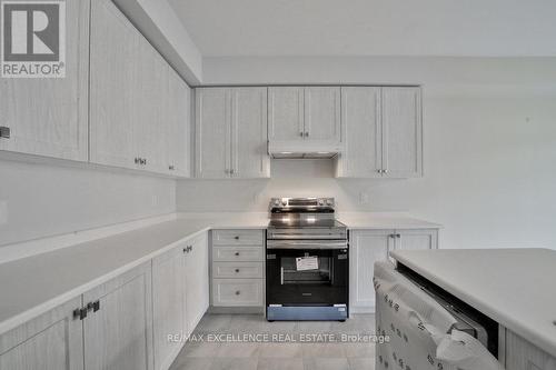 395 Barker Parkway, Thorold, ON - Indoor Photo Showing Kitchen