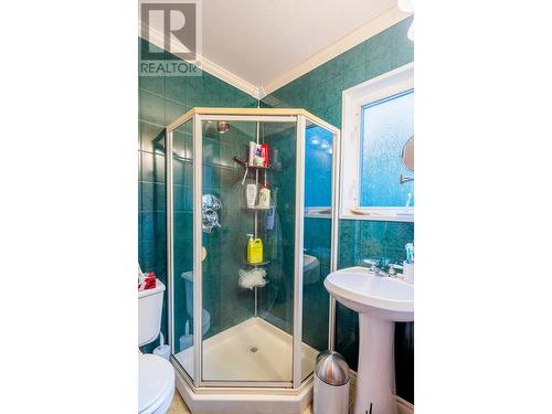 395 Valhalla Road, Prince George, BC - Indoor Photo Showing Bathroom