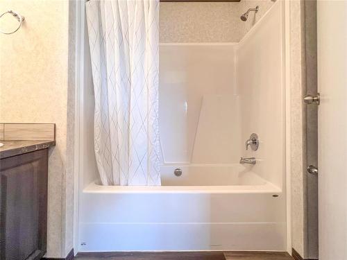 115 Spruce Street, Brandon, MB - Indoor Photo Showing Bathroom