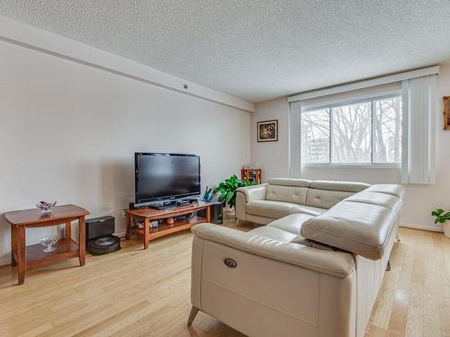 Living room - 204-10100 Rue Paul-Comtois, Montréal (Ahuntsic-Cartierville), QC - Indoor Photo Showing Living Room