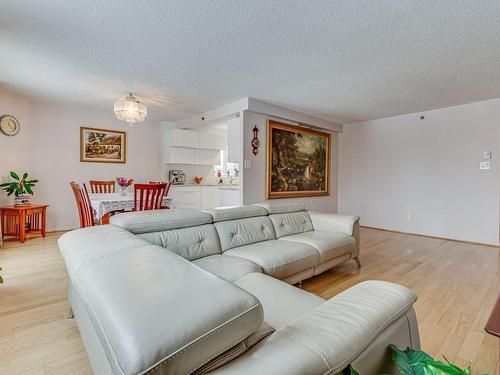 Salon - 204-10100 Rue Paul-Comtois, Montréal (Ahuntsic-Cartierville), QC - Indoor Photo Showing Living Room