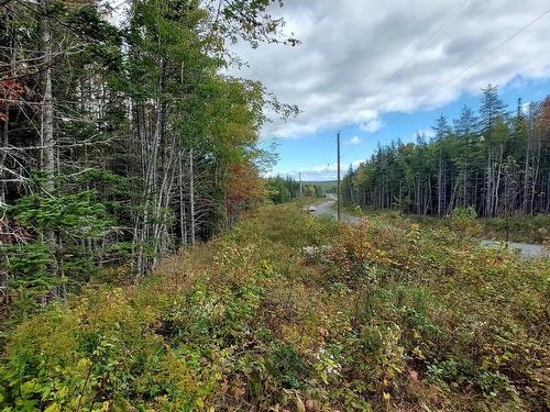 Lot 8 Beaver Lane, Grantville, NS 