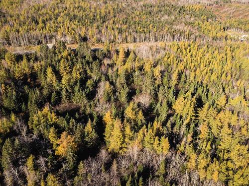 Lot 8 Beaver Lane, Grantville, NS 