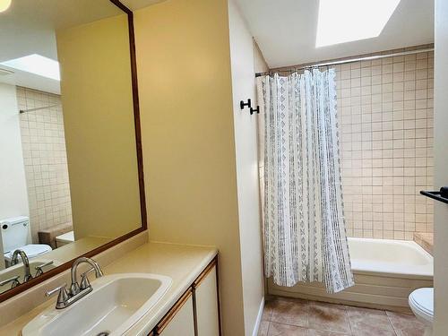 Bathroom - 235 21E Avenue, Deux-Montagnes, QC - Indoor Photo Showing Bathroom