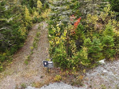 Land/Lot - Rue Du Cerf, Val-David, QC 