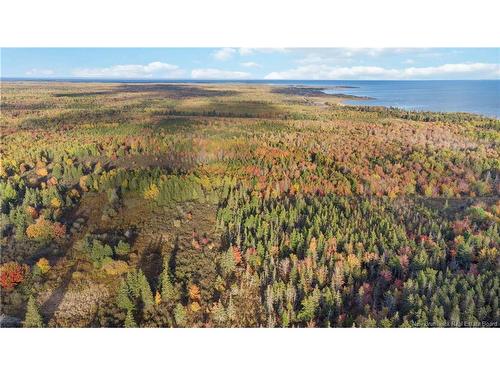 Lot 04 Oulton Rd, Cape Spear, NB 