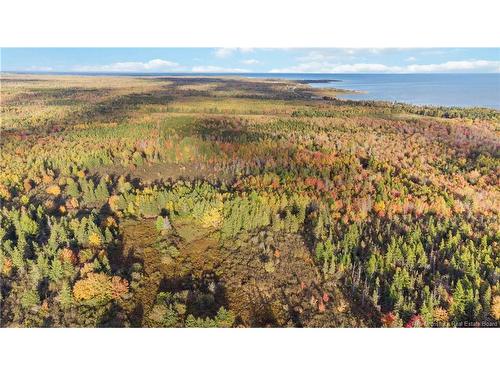 Lot 04 Oulton Rd, Cape Spear, NB 