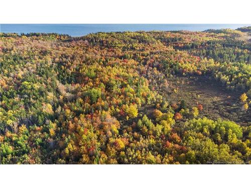 Lot 04 Oulton Rd, Cape Spear, NB 