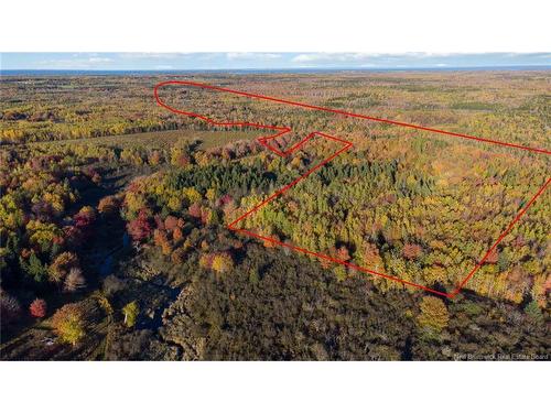 Lot 04 Oulton Rd, Cape Spear, NB 