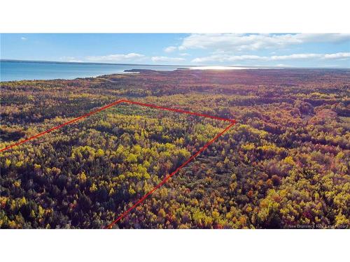 Lot 04 Oulton Rd, Cape Spear, NB 