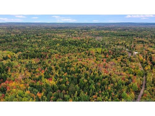 Lot Mast Road, Three Tree Creek, NB 