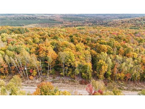 Lot 8 Raven Ridge Rd, Central Hainesville, NB 