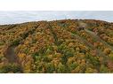 Lot 8 Raven Ridge Rd, Central Hainesville, NB 