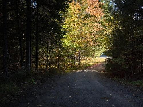 Autre - 5 Ch. Au Pied-De-La-Côte, Saint-Donat, QC 