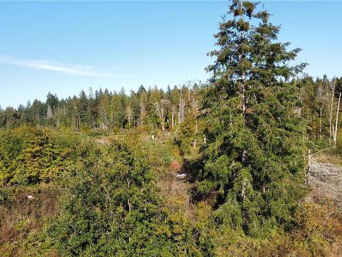 Lot 4 Doole Rd, Nanaimo, BC 