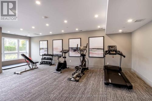 Fitness Center - 308 - 1975 Fountain Grass Drive, London, ON - Indoor Photo Showing Gym Room