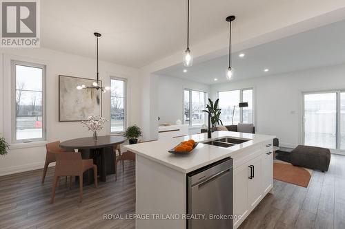 20 - 101 Swales Avenue, Strathroy-Caradoc (Sw), ON - Indoor Photo Showing Kitchen With Double Sink