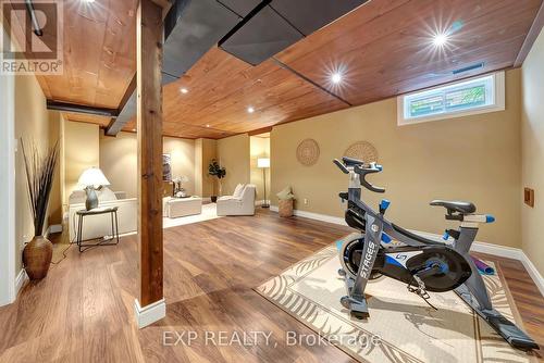 36 Longhurst Crescent, Cambridge, ON - Indoor Photo Showing Gym Room