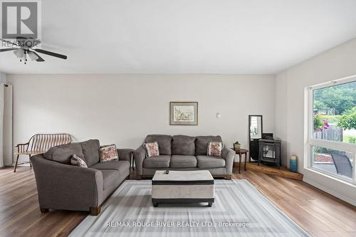 16 Mary Street W, Kawartha Lakes (Lindsay), ON - Indoor Photo Showing Living Room