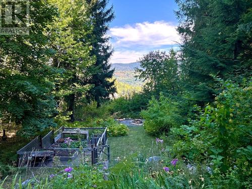 1006 Earl Street, Rossland, BC - Outdoor