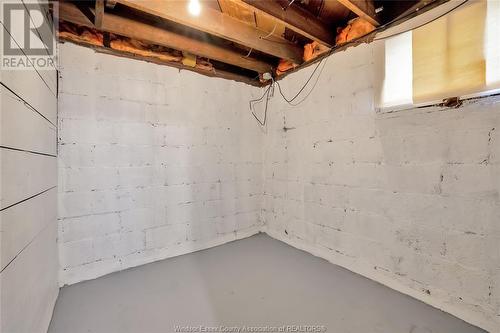 749 Niagara Street, Windsor, ON - Indoor Photo Showing Basement